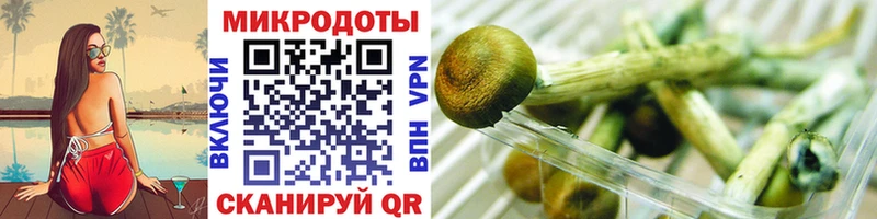 Псилоцибиновые грибы Psilocybine cubensis  Люберцы 